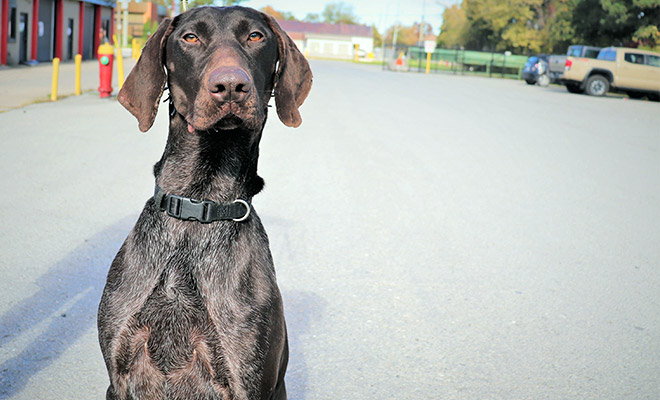 Green Thermal Solutions photo 9